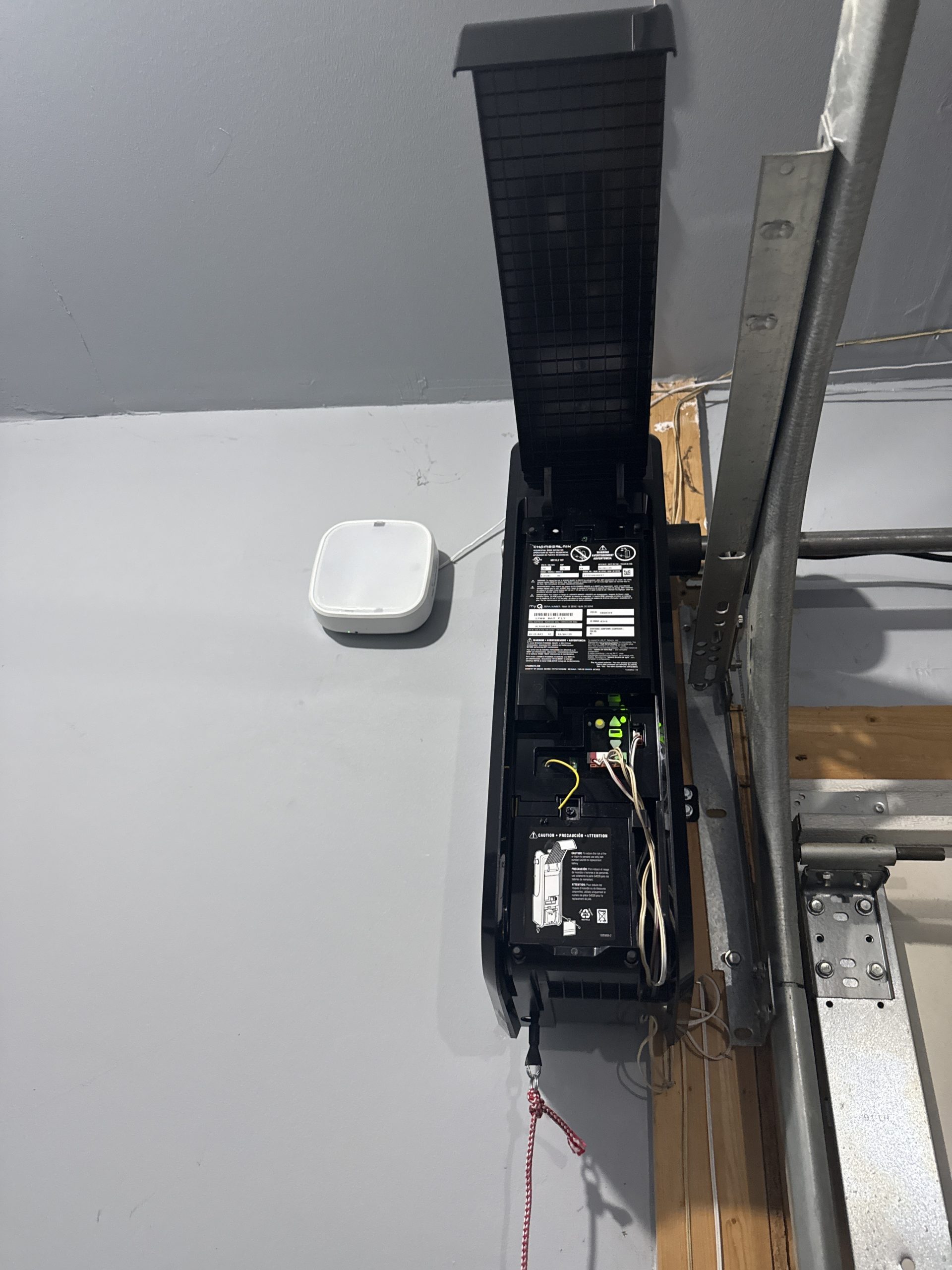 IMG_54F7F5ED-6823-424A-BAC4-8162054356C8